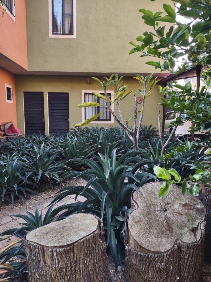 Hotel Tu Casa Oaxaca... Esterno foto